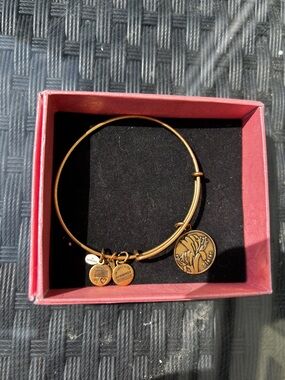 Bracelet Bracelet sister you ALEX AND ANI